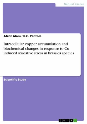 Intracellular copper accumulation and biochemical changes in response to Cu induced oxidative stress in brassica species
