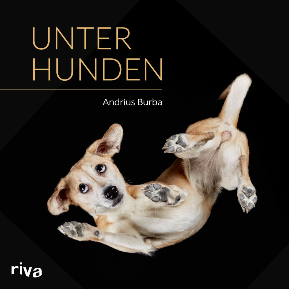 Unter Hunden main product photo