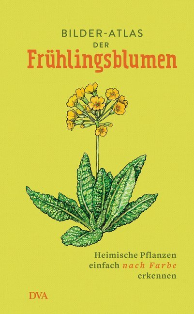 Bilder-Atlas der Frühlingsblumen main product photo
