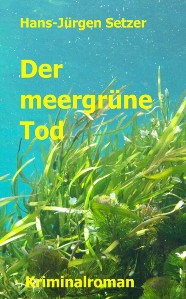 Der meergrüne Tod main product photo