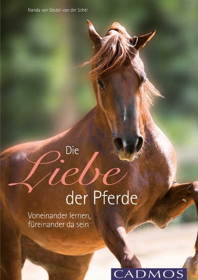 Die Liebe der Pferde main product photo