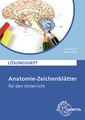 Anatomie-Zeichenblätter für den Unterricht, Lösungsheft