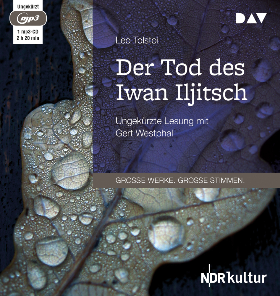 Der Tod des Iwan Iljitsch, 1 Audio-CD, 1 MP3 main product photo