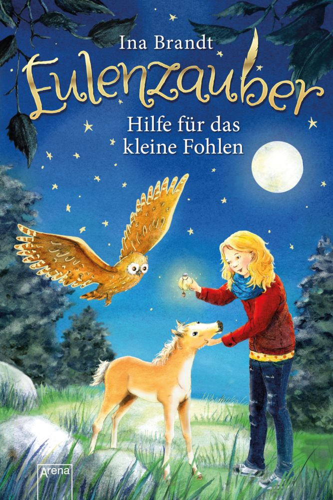 Eulenzauber - Hilfe für das kleine Fohlen main product photo