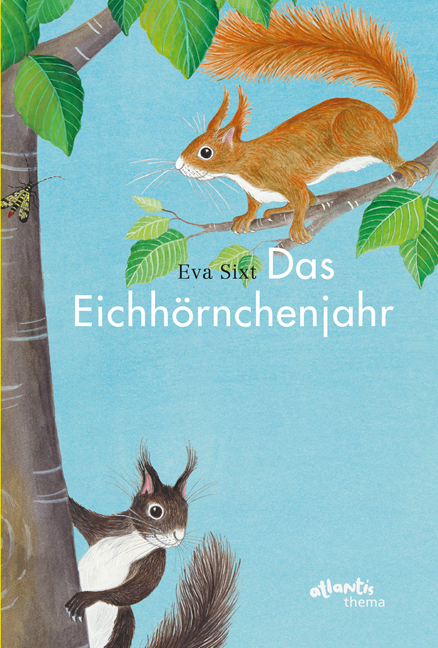 Das Eichhörnchenjahr main product photo
