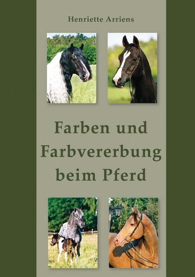 Farben und Farbvererbung beim Pferd main product photo