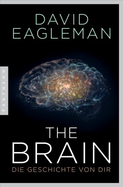 The Brain main product photo