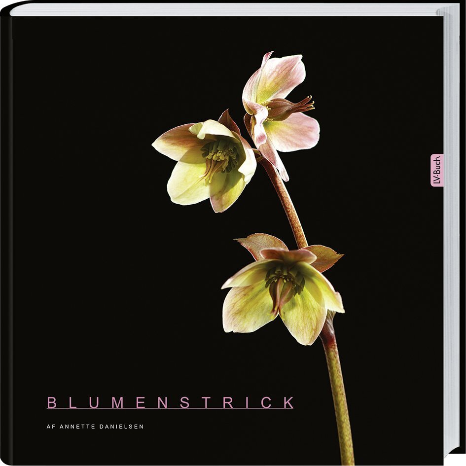Blumenstrick main product photo