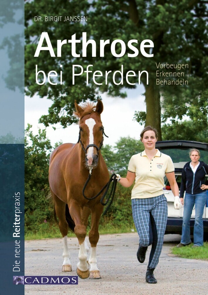 Arthrose bei Pferden main product photo