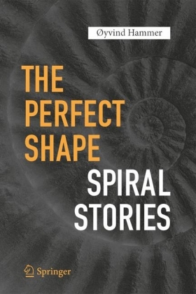 The Perfect Shape