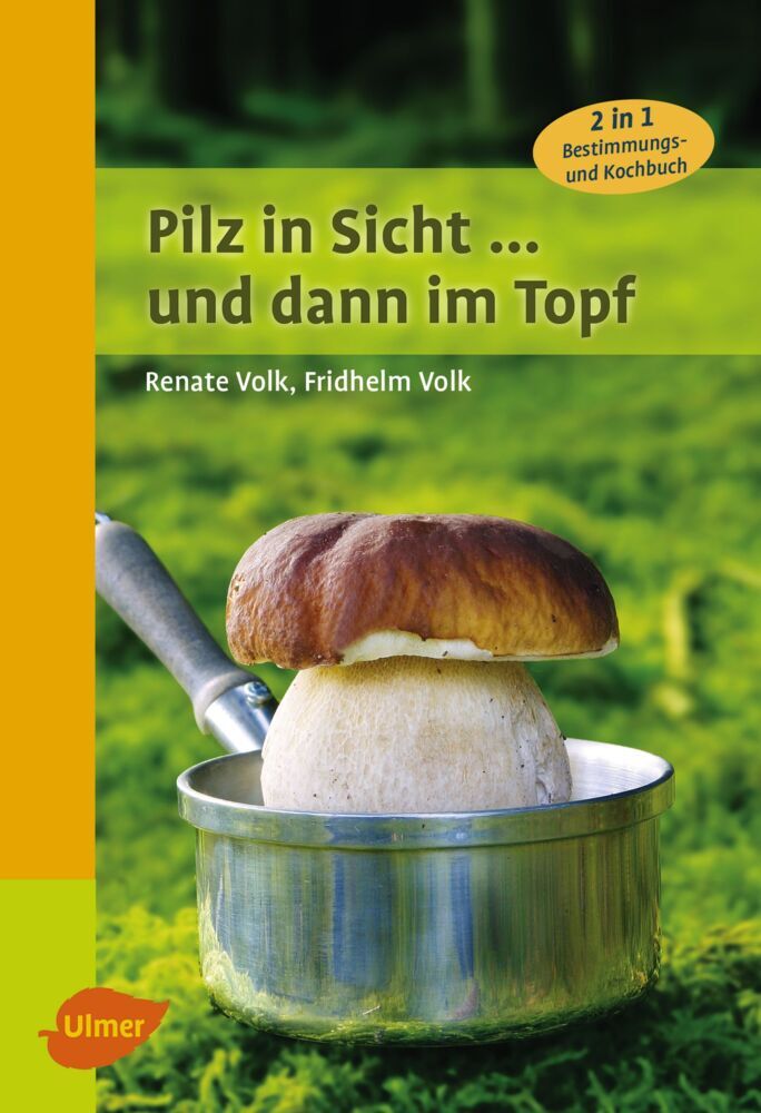 Pilz in Sicht ... und dann im Topf main product photo