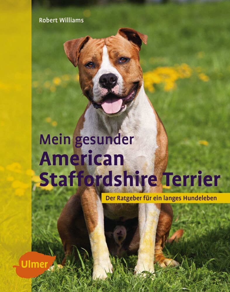 Mein gesunder American Staffordshire Terrier main product photo