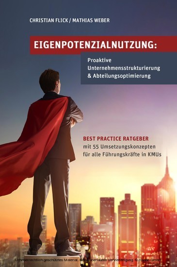 Eigenpotenzialnutzung: Proaktive Unternehmensstrukturierung & Abteilungsoptimierung main product photo