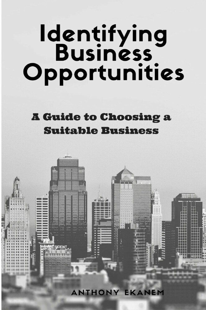 Identifying Business Opportunities main product photo