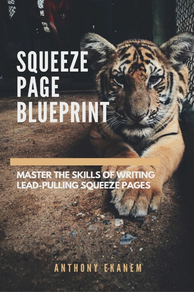 Squeeze Page Blueprint main product photo
