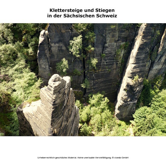 Klettersteige und Stiegen in der Sächsischen Schweiz main product photo
