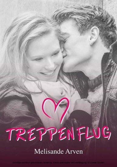 Treppenflug main product photo