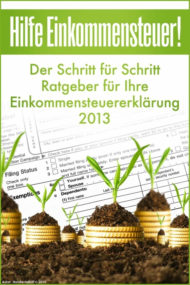 Hilfe Einkommensteuer! Der Schritt für Schritt Ratgeber für Ihre Einkommensteuererklärung 2013 main product photo