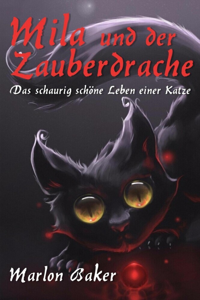 Mila und der Zauberdrache main product photo