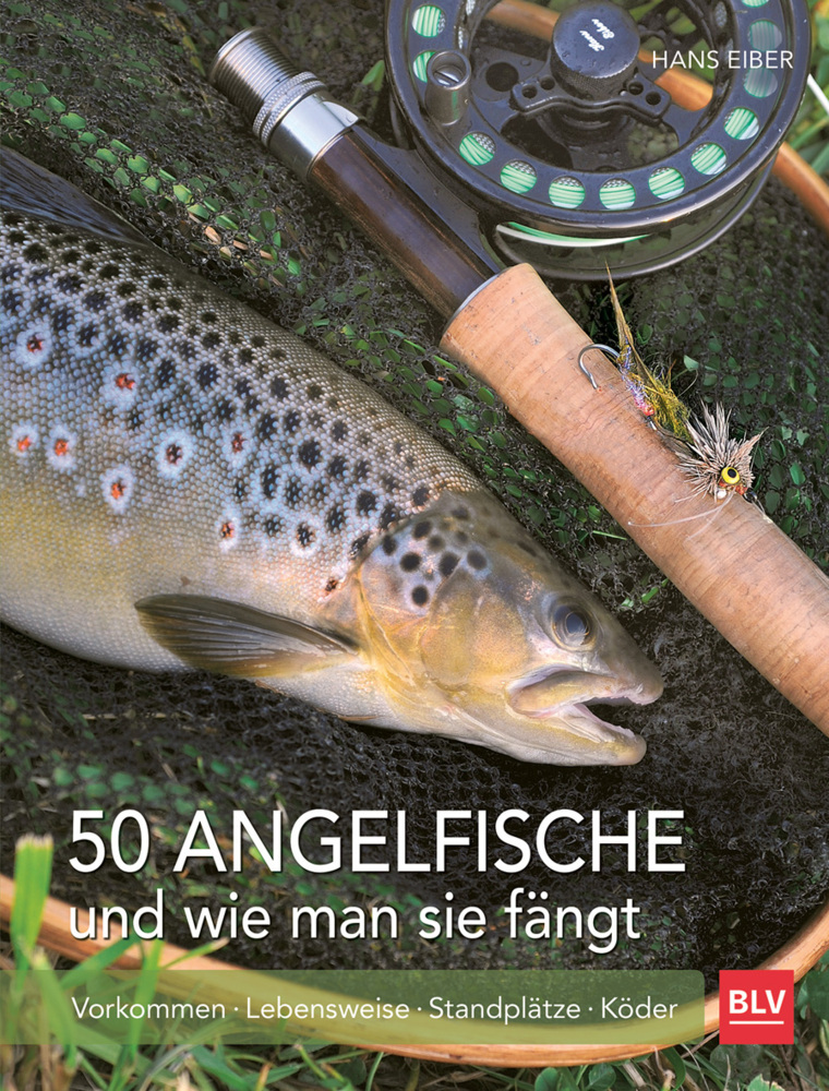 50 Angelfische und wie man sie fängt main product photo