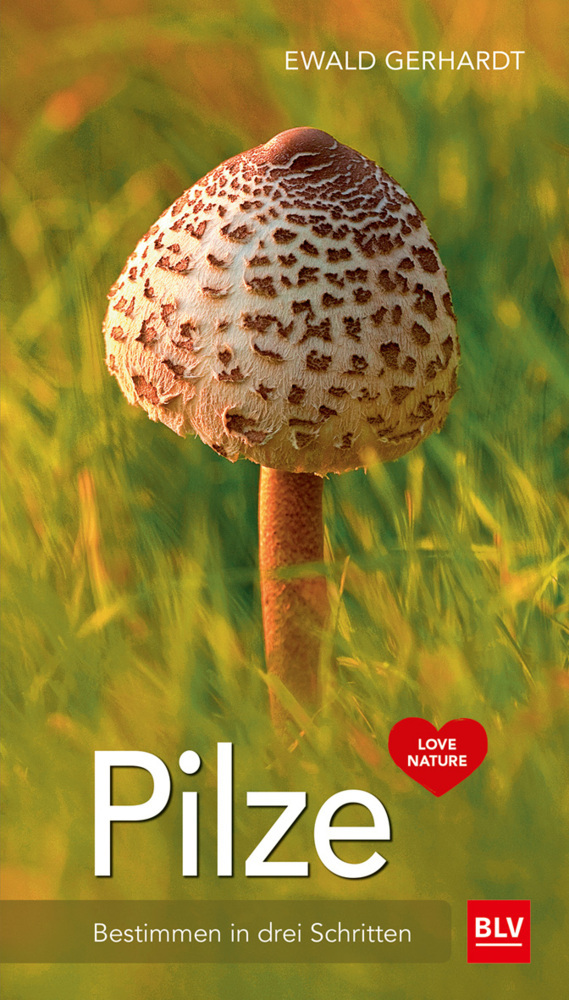 Pilze main product photo