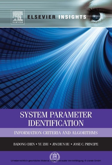 System Parameter Identification main product photo
