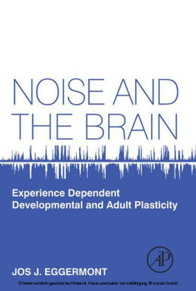 Noise and the Brain