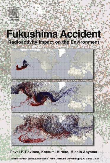 Fukushima Accident main product photo