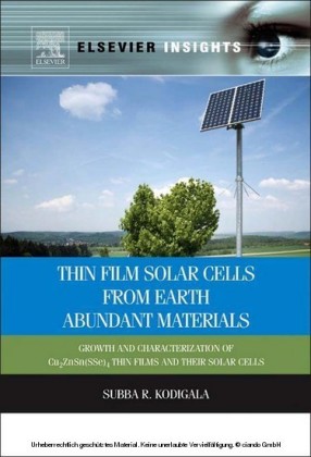 Thin Film Solar Cells From Earth Abundant Materials