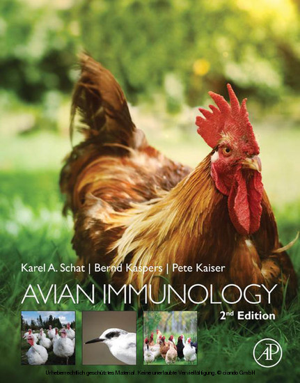 Avian Immunology main product photo