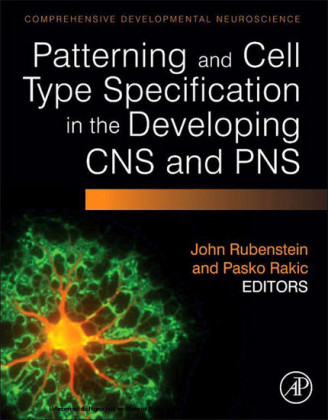 Patterning and Cell Type Specification in the Developing CNS and PNS