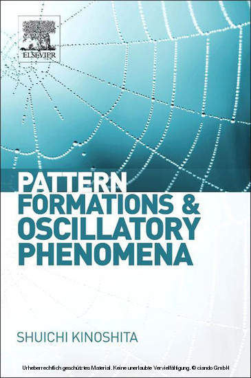 Pattern Formations and Oscillatory Phenomena main product photo