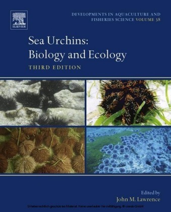 Sea Urchins