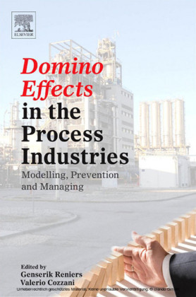Domino Effects in the Process Industries