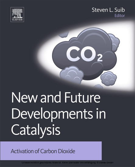 New and Future Developments in Catalysis main product photo