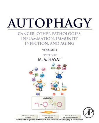 Autophagy: Cancer, Other Pathologies, Inflammation, Immunity, Infection, and Aging