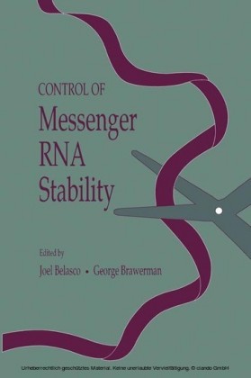 Control of Messenger RNA Stability