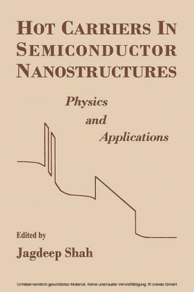 Hot Carriers in Semiconductor Nanostructures