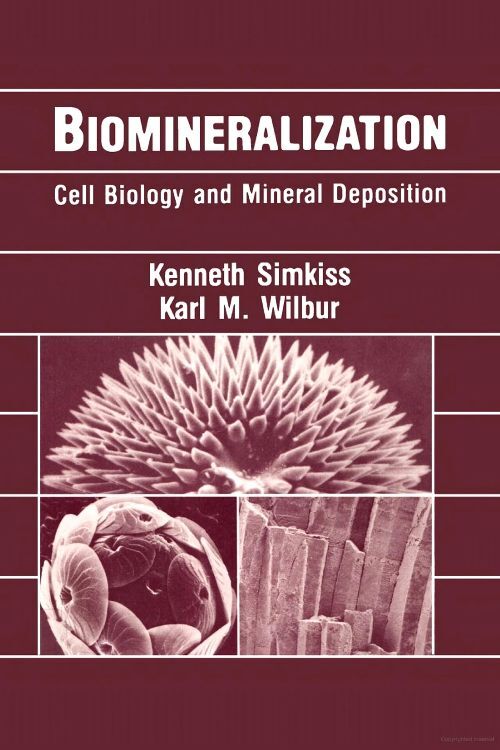 Biomineralization main product photo