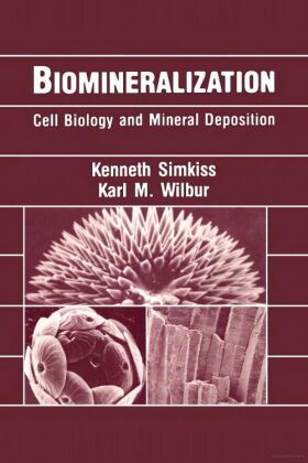 Biomineralization