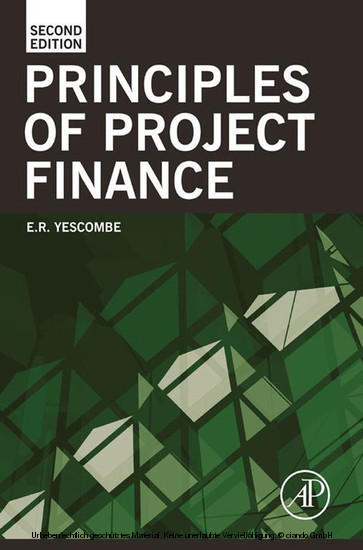 Principles of Project Finance main product photo