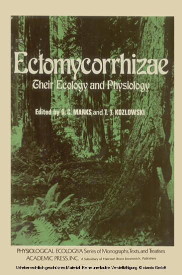Ectomycorrhizae main product photo