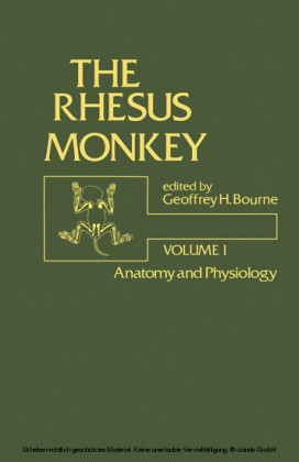 Anatomy and Physiology