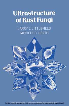 Ultrastructure of rust Fungi