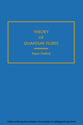 Theory of Quantum Fluids