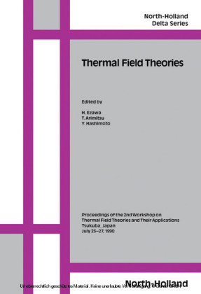 Thermal Field Theories