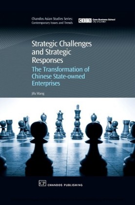 Strategic Challenges and Strategic Responses