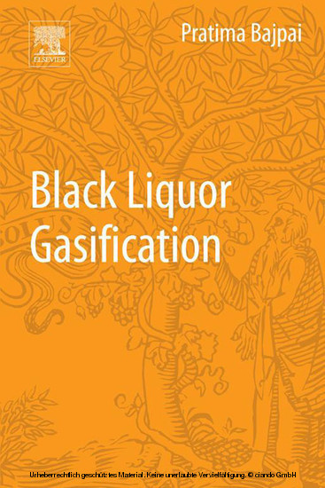 Black Liquor Gasification main product photo