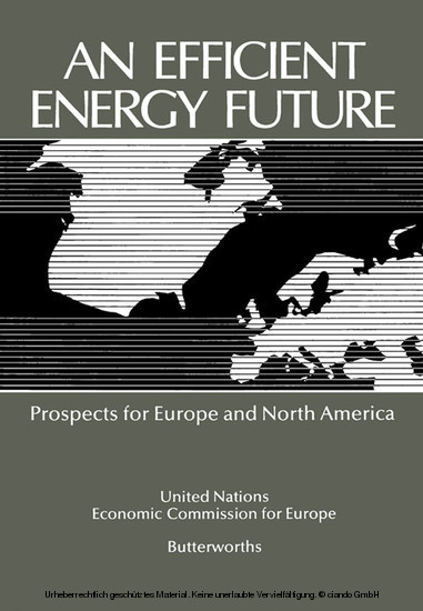 An Efficient Energy Future main product photo