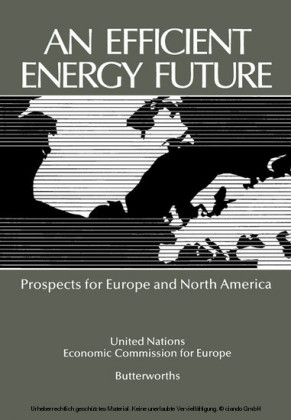 An Efficient Energy Future